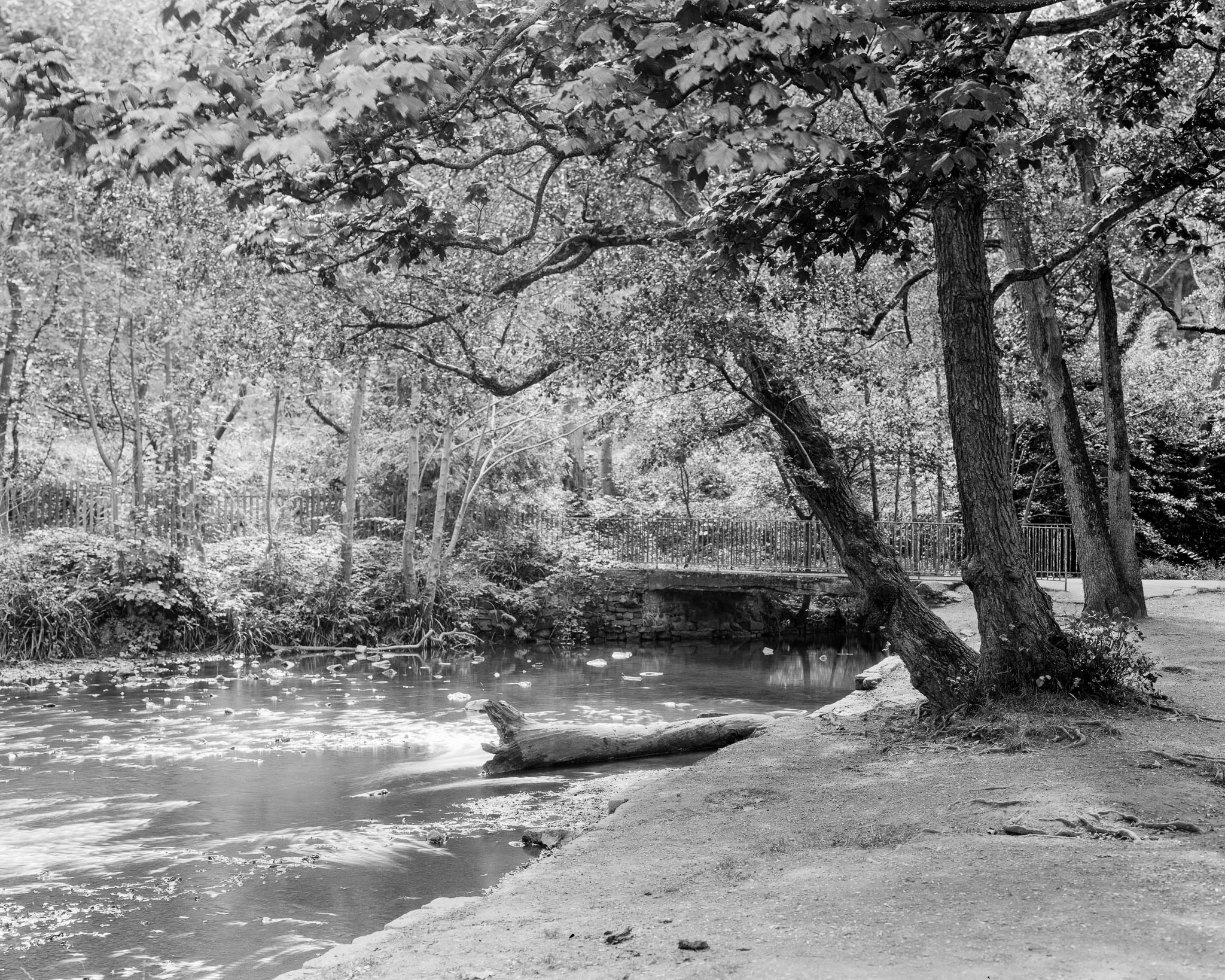 Black and White Photo taken at Millhouses Park Sheffield, showing bridge across River Sheaf