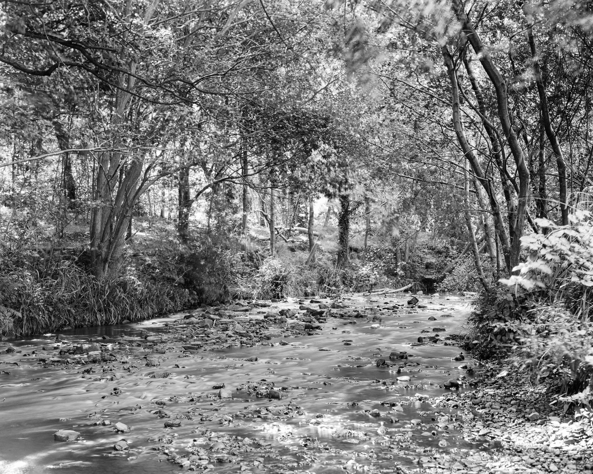 Photograph of River Sheaf at Millhouses Park Sheffield. © 2023.