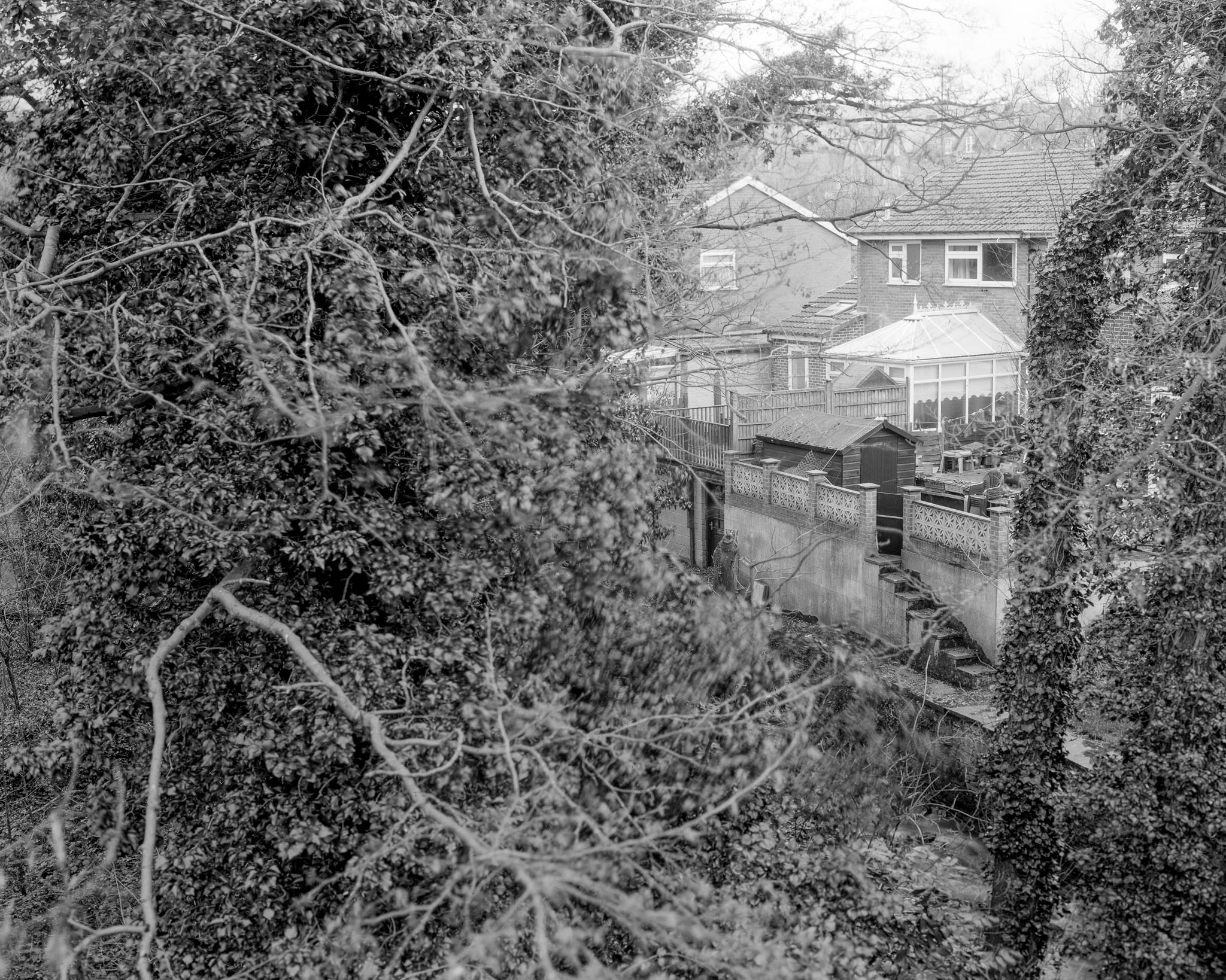 Black and White Photograph of houses through trees near The River Sheaf, Sheffield by Jonny Sutton
